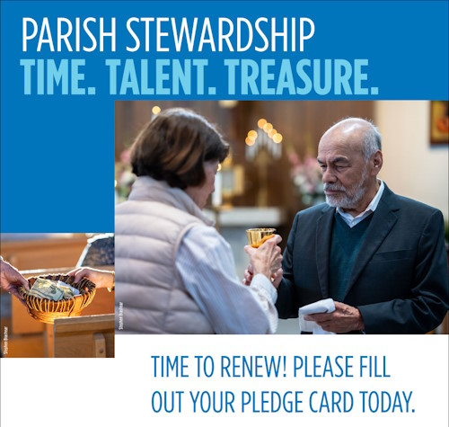 stewardship-2025 stewardship-2025